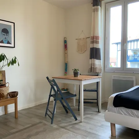 Studio Lumineux & Calme A Biarritz - Parking Prive Gratuit